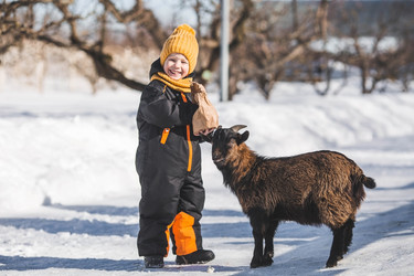 Similar image 21838411