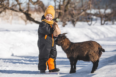 Similar image 21838414