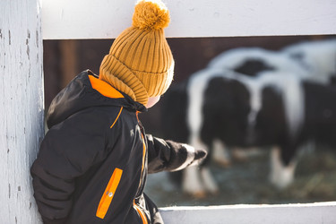 Similar image 21838423