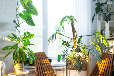 Similar image 21829159