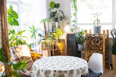 Similar image 21829175