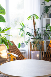 Similar image 21829185