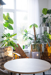 Similar image 21829191