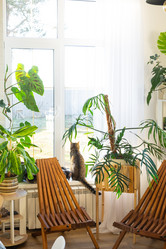 Similar image 21829195