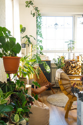 Similar image 21829197