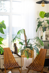 Similar image 21829199