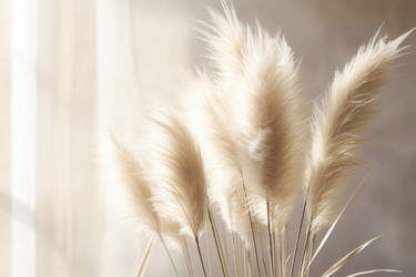 Similar image 21837196