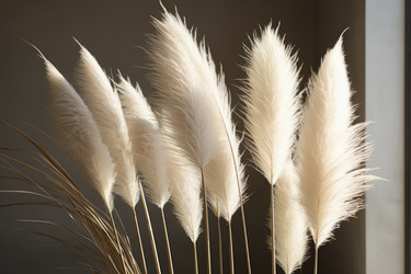 Similar image 21837199