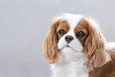 Similar image 21837244