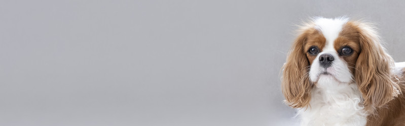 Similar image 21837246