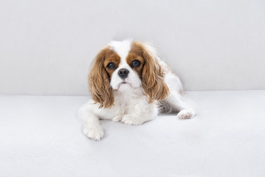 Similar image 21837247