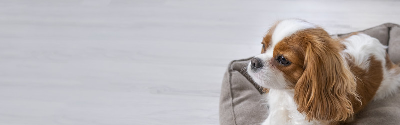 Similar image 21837248