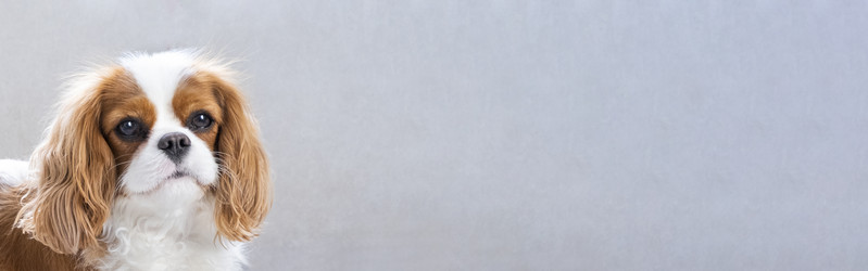 Similar image 21837252