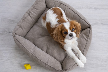 Similar image 21837253