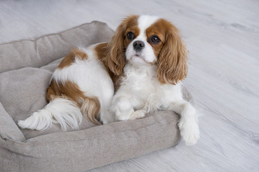 Similar image 21837255