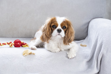 Similar image 21837256