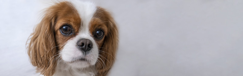 Similar image 21837257