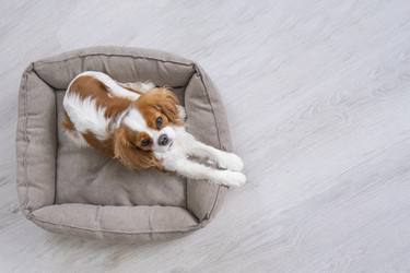 Similar image 21837258