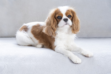 Similar image 21837260