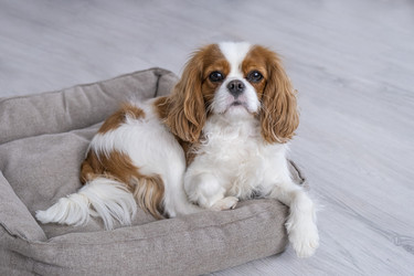 Similar image 21837261