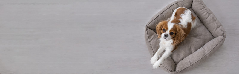 Similar image 21837263