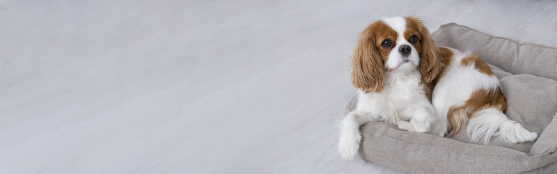 Similar image 21837265