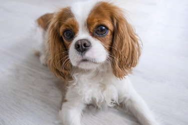 Similar image 21837266