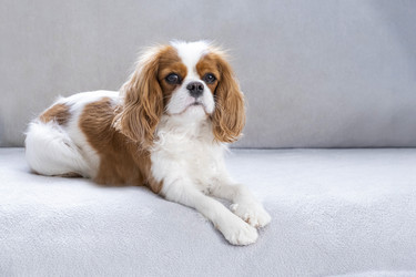 Similar image 21837267