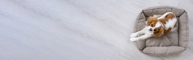 Similar image 21837268