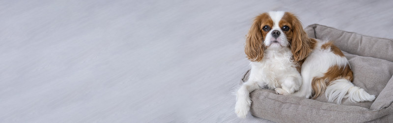 Similar image 21837269