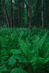 Similar image 21842440