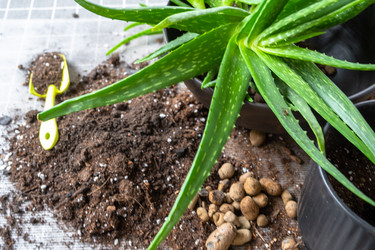 Similar image 21828991