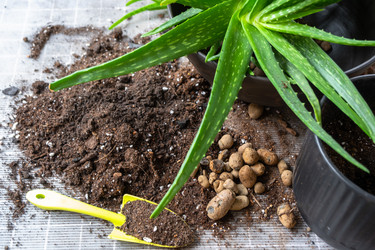 Similar image 21829003