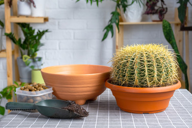 Similar image 21829009