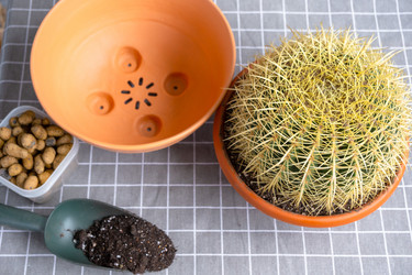 Similar image 21829017