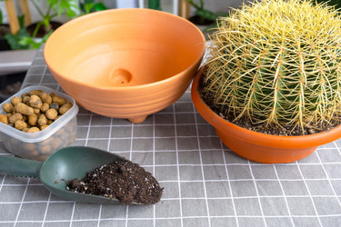 Similar image 21829019