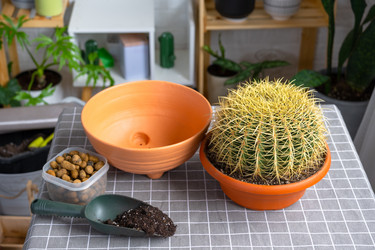 Similar image 21829021