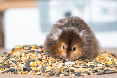 Similar image 21829022