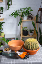 Similar image 21829023