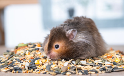 Similar image 21829324