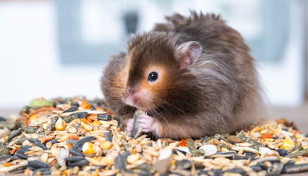 Similar image 21829326