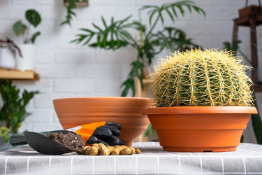 Similar image 21829327