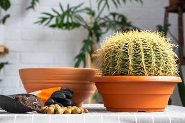 Similar image 21829329