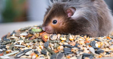 Similar image 21829330