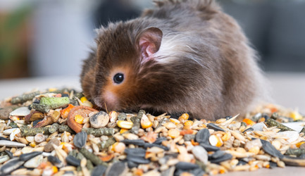 Similar image 21829024