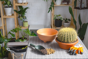 Similar image 21829025