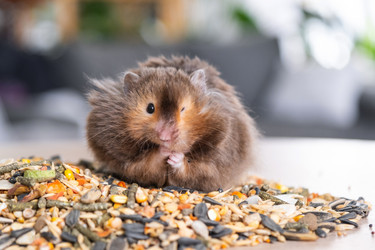 Similar image 21829030