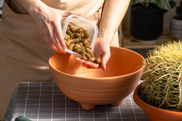 Similar image 21829035