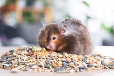 Similar image 21829036