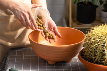 Similar image 21829037